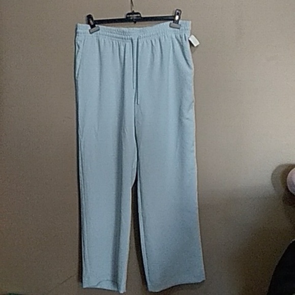 Wilfred Pants - Wilfred Powder Blue pants size xl